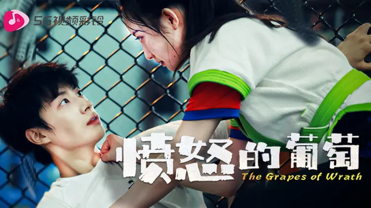 《愤怒的葡萄2024》：复仇烈焰，燃尽罪恶的救赎之路