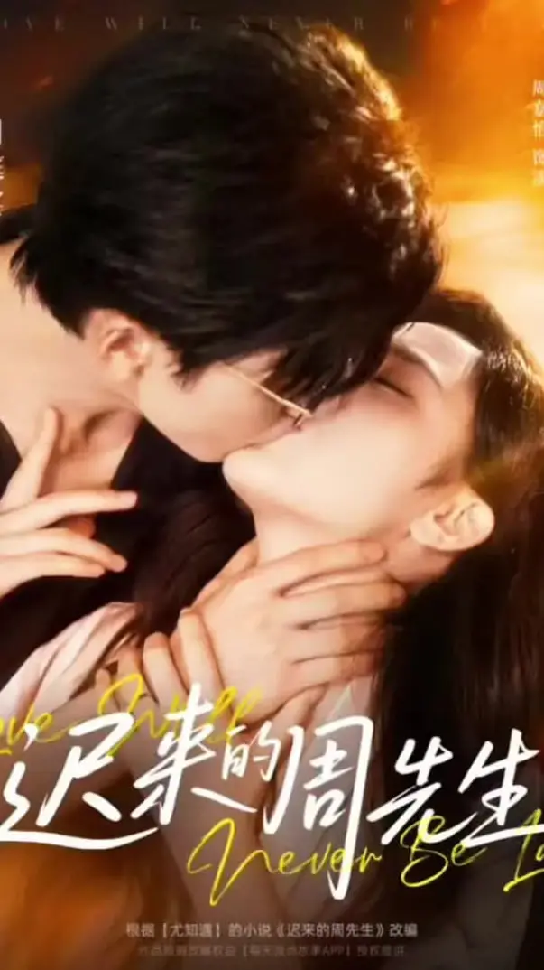 《迟来的周先生》：中年危机下的救赎与情感探索，一场关于遗憾与重生的深刻反思