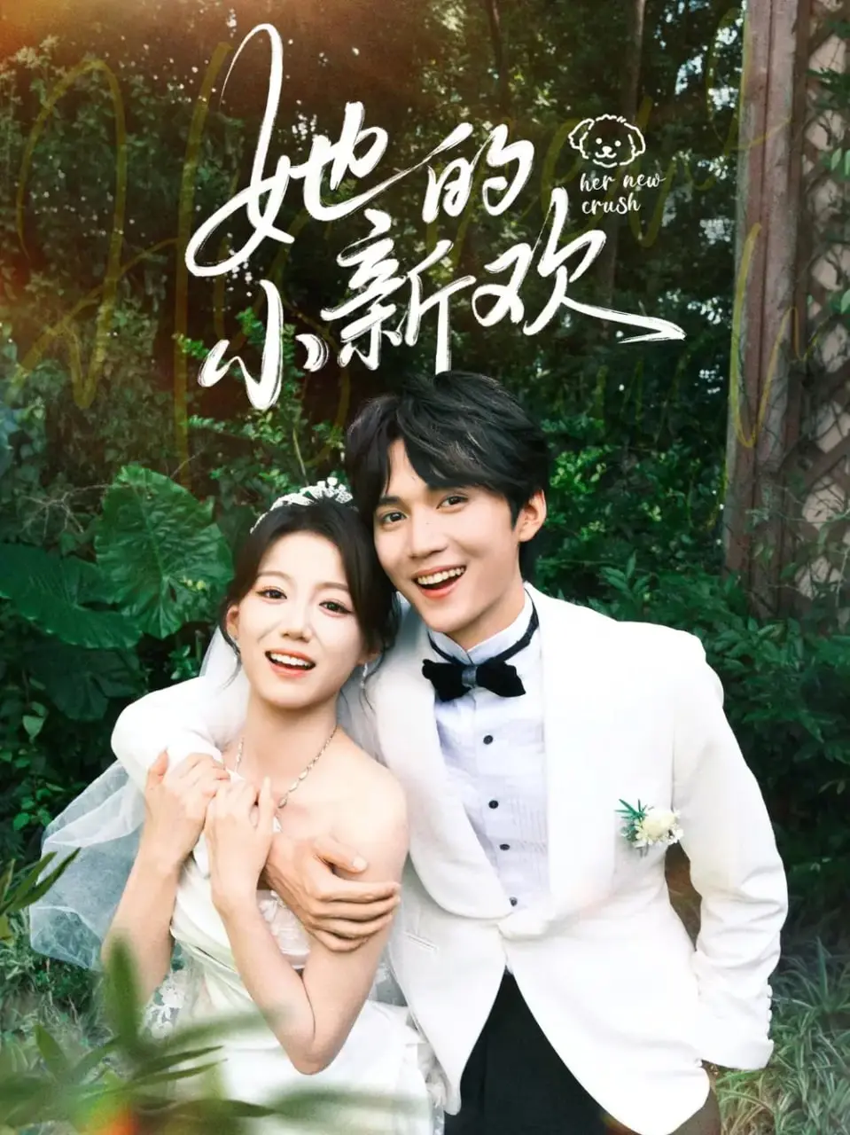 《她的小新欢》：一场年龄差禁忌之恋的碰撞，颜值与心动的双重考验