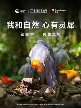 《我和自然 心有灵犀》第四季：深入共生之地，探寻生命万物的奇妙链接与生存智慧